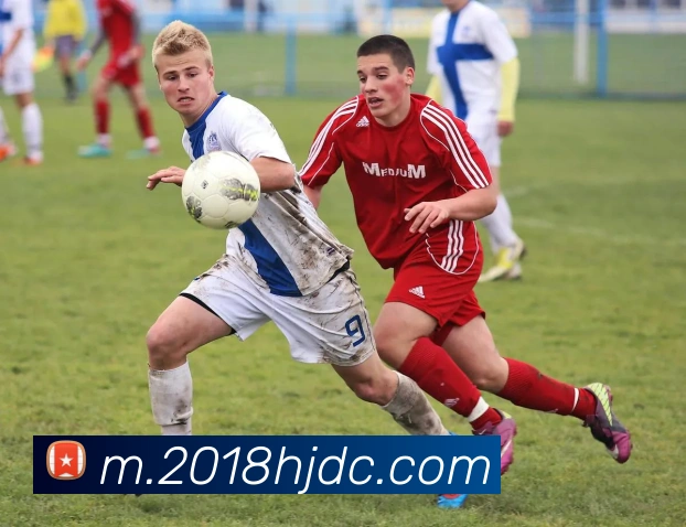 App Interface Preview